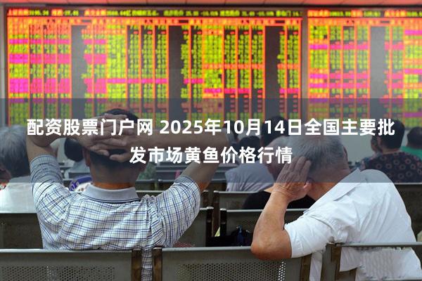 配资股票门户网 2025年10月14日全国主要批发市场黄鱼价格行情